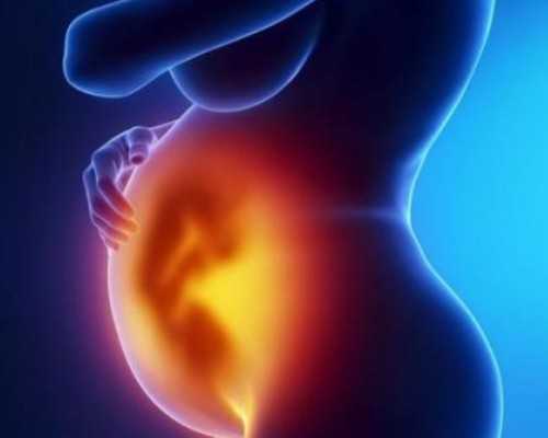 七星供卵试管助孕多少钱&绝经期是否能怀孕,宫颈息肉会癌变吗