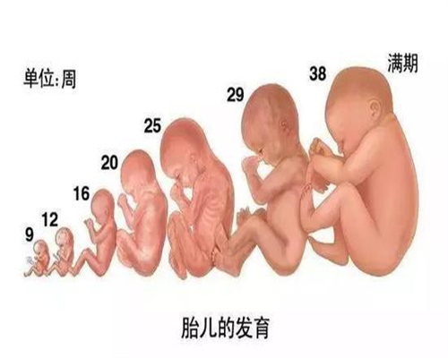 武汉最新代孕技术_武汉哪里有女人找男人代孕_泰东方是骗子吗：流产无痛还是